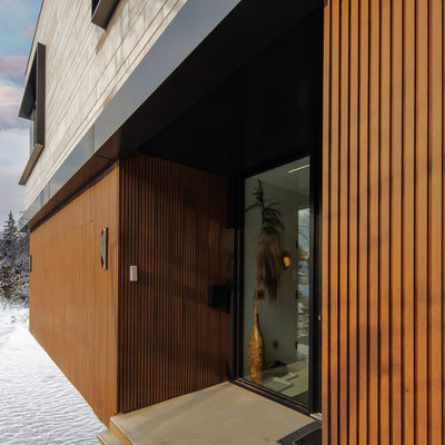 Der Wand 195mmx28mm des modernen Grill-Innen-WPC Widerstand Fäule