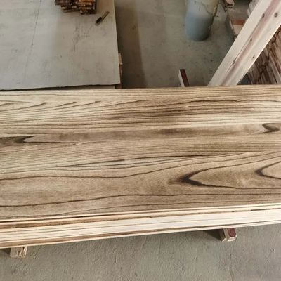 China Fertigung starkes feuchtigkeitsbeständiges Kohlenstoffholz Paulownia