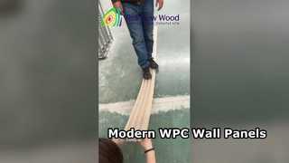 WPC-Wandpaneele für moderne Häuser